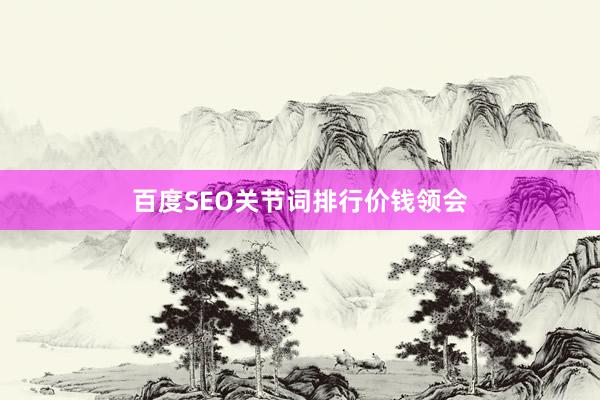 百度SEO关节词排行价钱领会