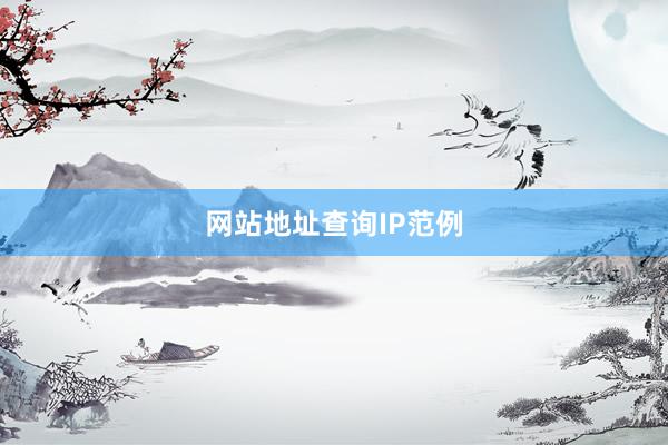 网站地址查询IP范例