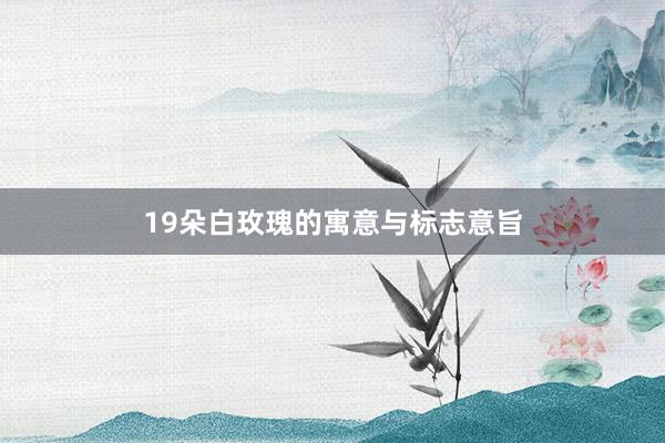 19朵白玫瑰的寓意与标志意旨