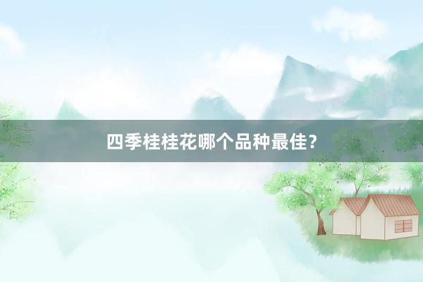 四季桂桂花哪个品种最佳？