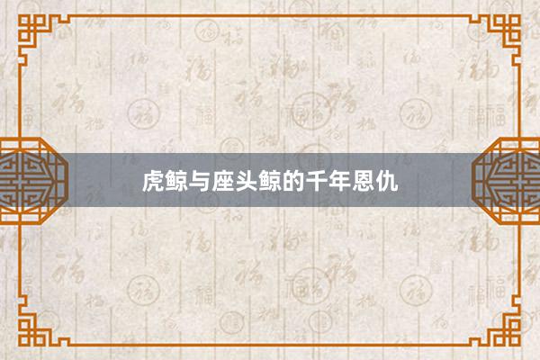 虎鲸与座头鲸的千年恩仇